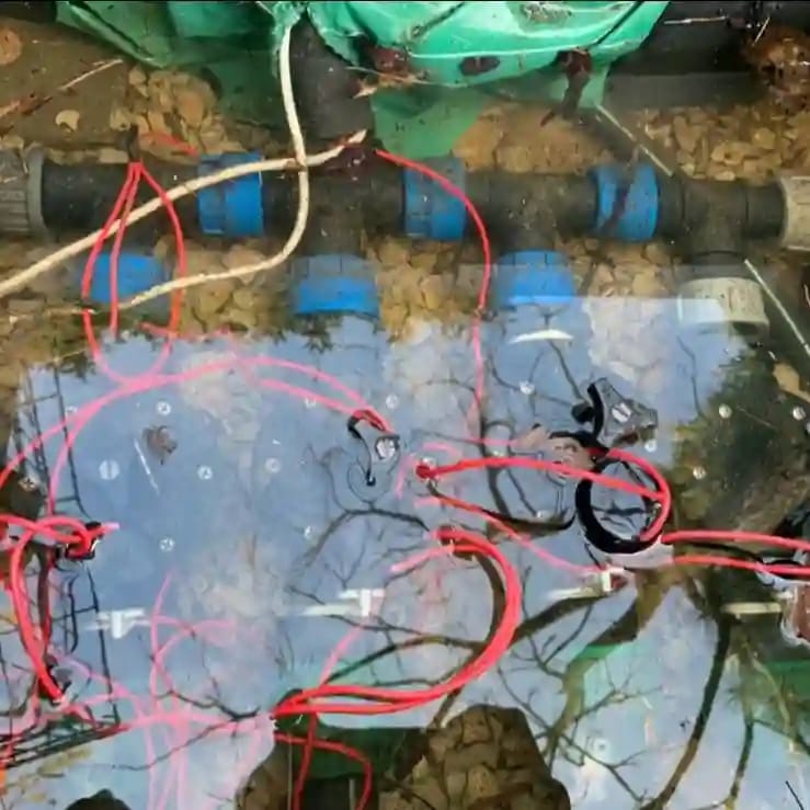 Krytyczny błąd montażowy: skrzynka zaworowa systemu nawadniania zalana wodą, elektrozawory i połączenia elektryczne 24V całkowicie zanurzone.