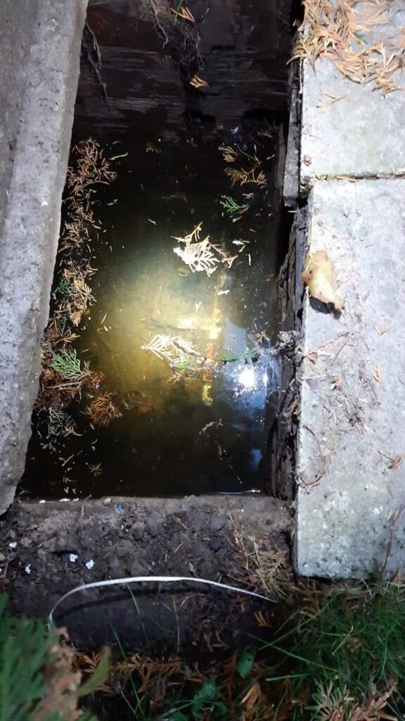 Zaniedbana komora studni głębinowej zalana wodą i zaśmiecona (igły żywotnika, liście). Brak odpowiedniej rewizji i zabezpieczenia przed wodą gruntową i zanieczyszczeniami.